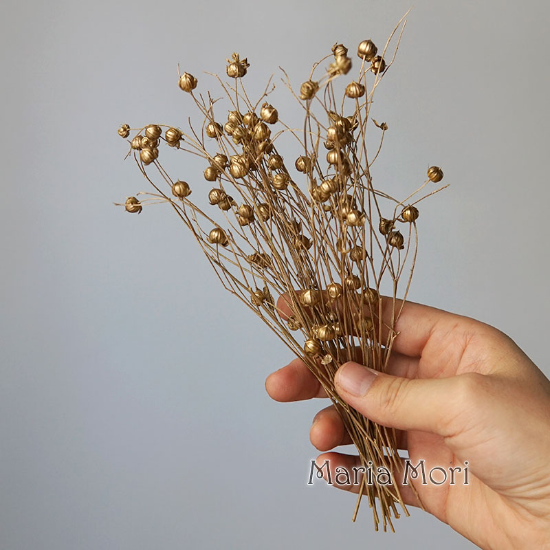 5g Preserved Flax Bean Natural - Candle Making Experience recension och pris